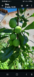 upload_img1
