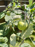 upload_img1