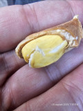upload_img1