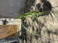 upload_img1