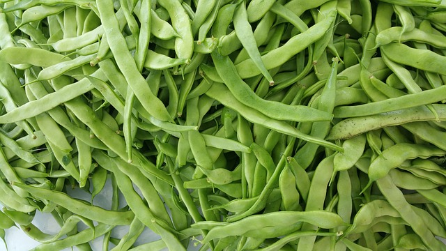 Fasole verde - legume usor de sadit
