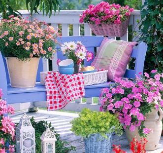 Semințe de flori curgătoare