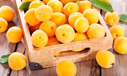 Dulci, cărnoase, multe | GrădinaMax