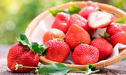 Dulceață suculentă | GrădinaMax