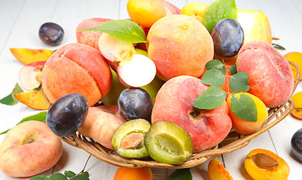 Mini-livadă cu terasă | GrădinaMax