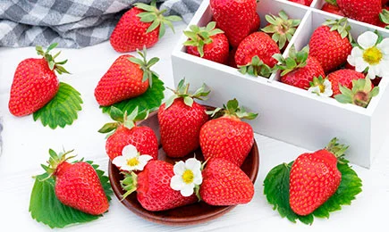 Un desert neobișnuit | GrădinaMax