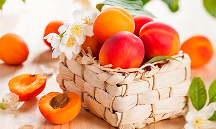 Visul oricărui gurmand | GrădinaMax