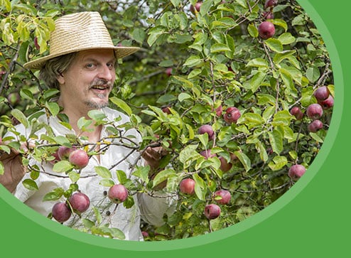 Catalog - Până la -30% la pomi fructiferi - GrădinaMax România