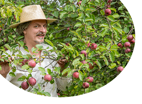 Catalog - Până la -60% la pomi fructiferi - GrădinaMax România